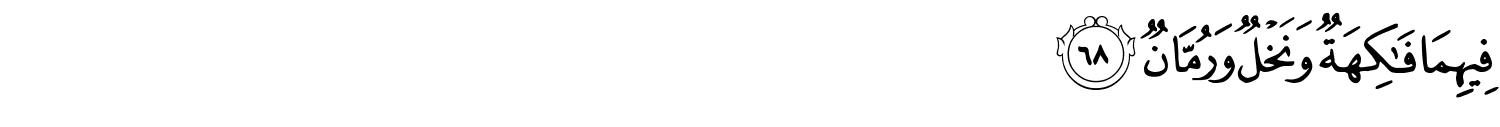/images/55/55_68.png