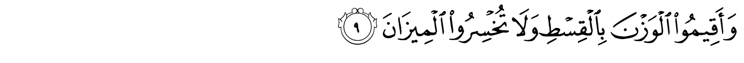 /images/55/55_9.png