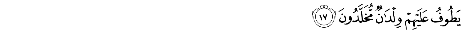 /images/56/56_17.png