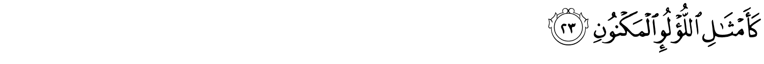 /images/56/56_23.png
