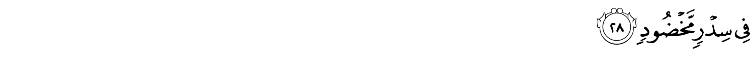 /images/56/56_28.png