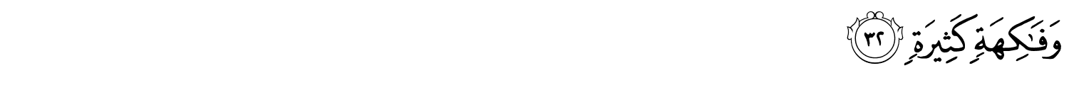 /images/56/56_32.png