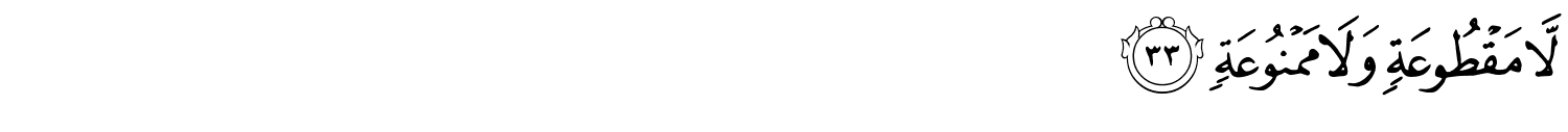 /images/56/56_33.png