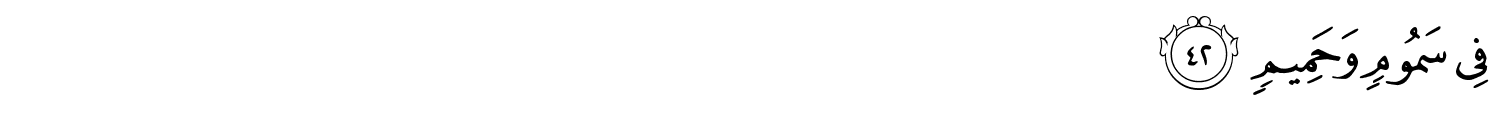 /images/56/56_42.png