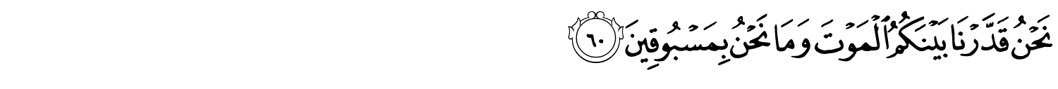 /images/56/56_60.png