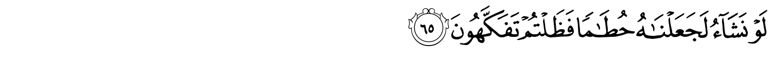 /images/56/56_65.png