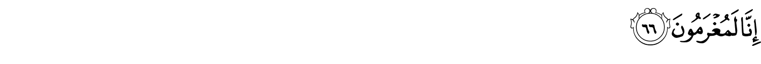 /images/56/56_66.png