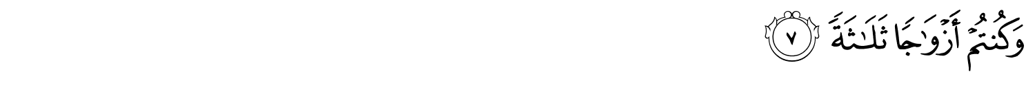 /images/56/56_7.png