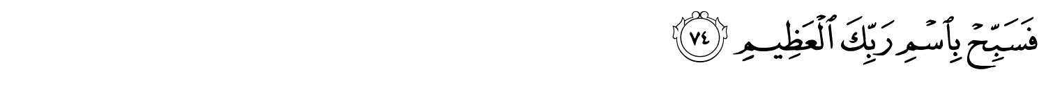 /images/56/56_74.png