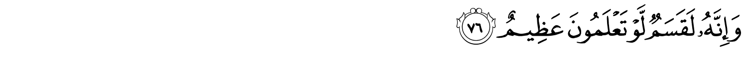 /images/56/56_76.png