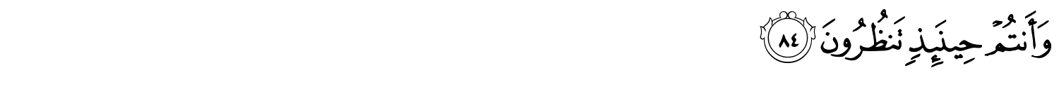 /images/56/56_84.png