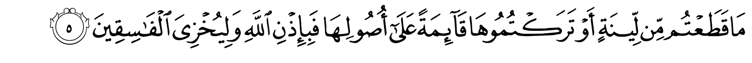 /images/59/59_5.png