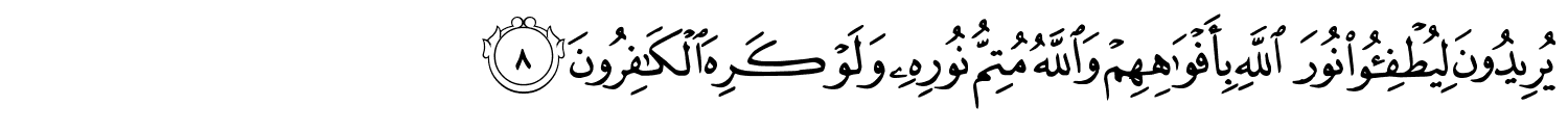 /images/61/61_8.png