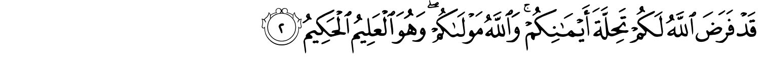 /images/66/66_2.png