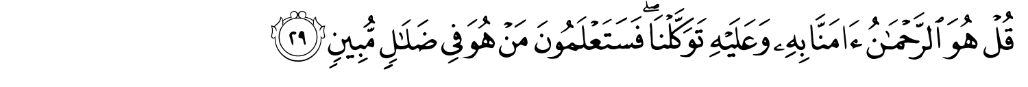 /images/67/67_29.png