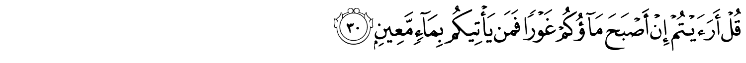 /images/67/67_30.png