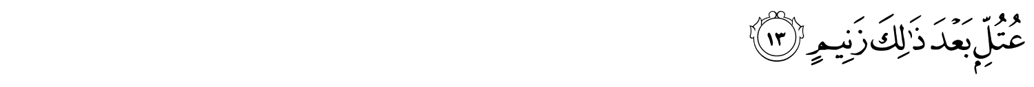 /images/68/68_13.png