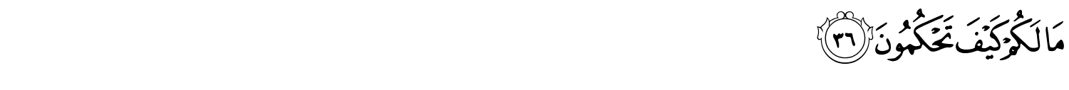 /images/68/68_36.png