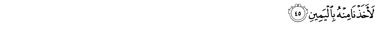 /images/69/69_45.png