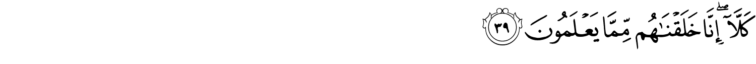 /images/70/70_39.png