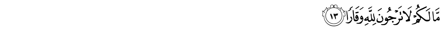 /images/71/71_13.png
