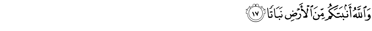 /images/71/71_17.png