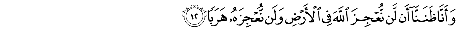 /images/72/72_12.png