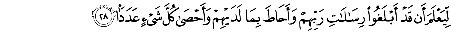 /images/72/72_28.png