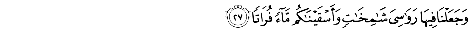 /images/77/77_27.png