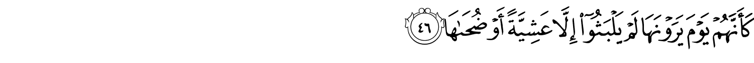/images/79/79_46.png