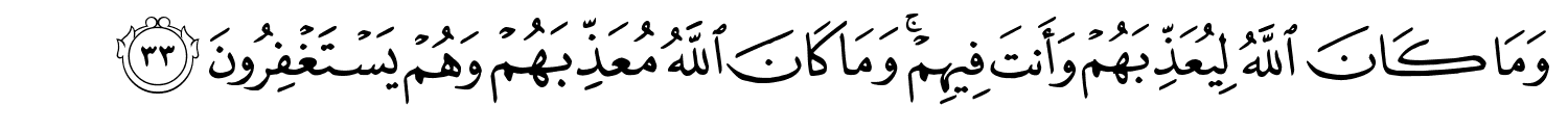 /images/8/8_33.png