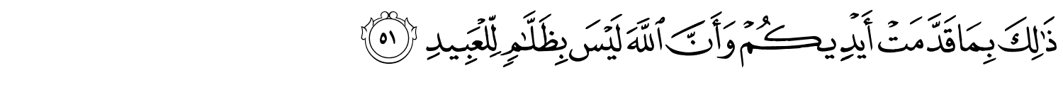 /images/8/8_51.png