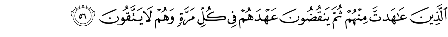 /images/8/8_56.png