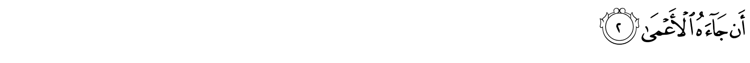 /images/80/80_2.png