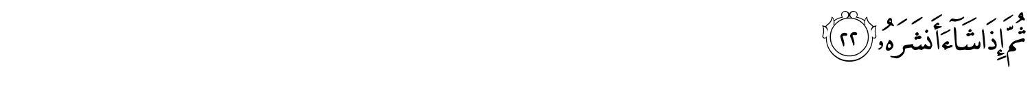 /images/80/80_22.png