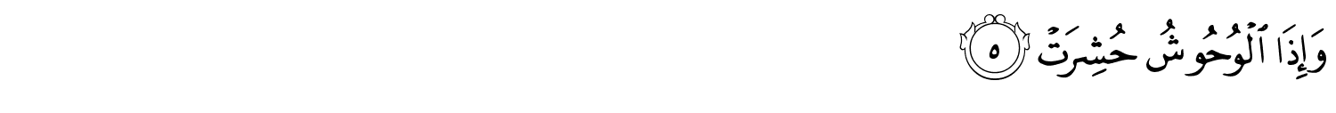 /images/81/81_5.png