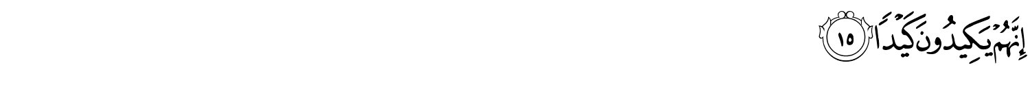 /images/86/86_15.png