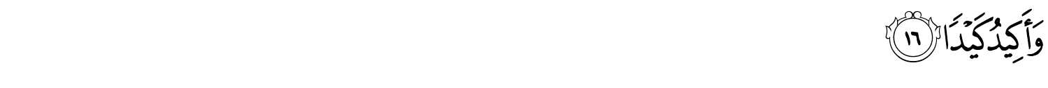 /images/86/86_16.png