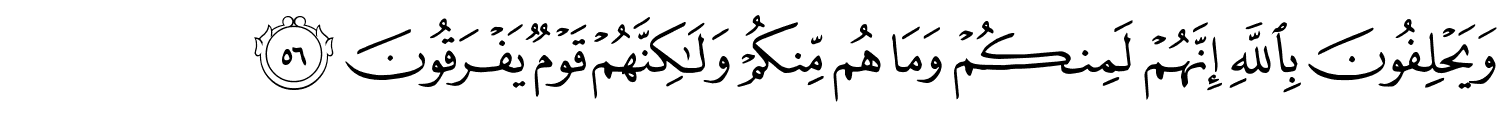 /images/9/9_56.png