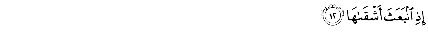 /images/91/91_12.png