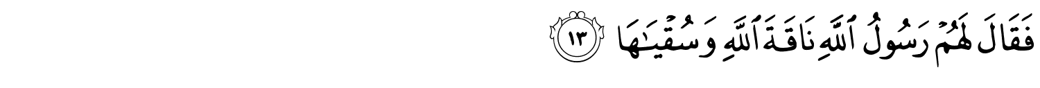 /images/91/91_13.png