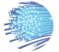 /public/img/tsse-logo-200x175.jpg