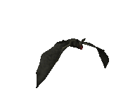 /src/renderer/assets/images/bat.gif