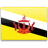 /data/flags/default/48x48/bn.png