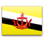 /data/flags/default/64x64/bn.png