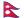 /data/flags/flat-waving/24x18/np.png