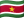 /data/flags/flat-waving/24x18/sr.png