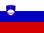 /data/flags/flat/64x48/si.png
