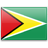 /data/flags/default/48x48/gy.png
