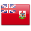 /data/flags/default/64x64/bm.png